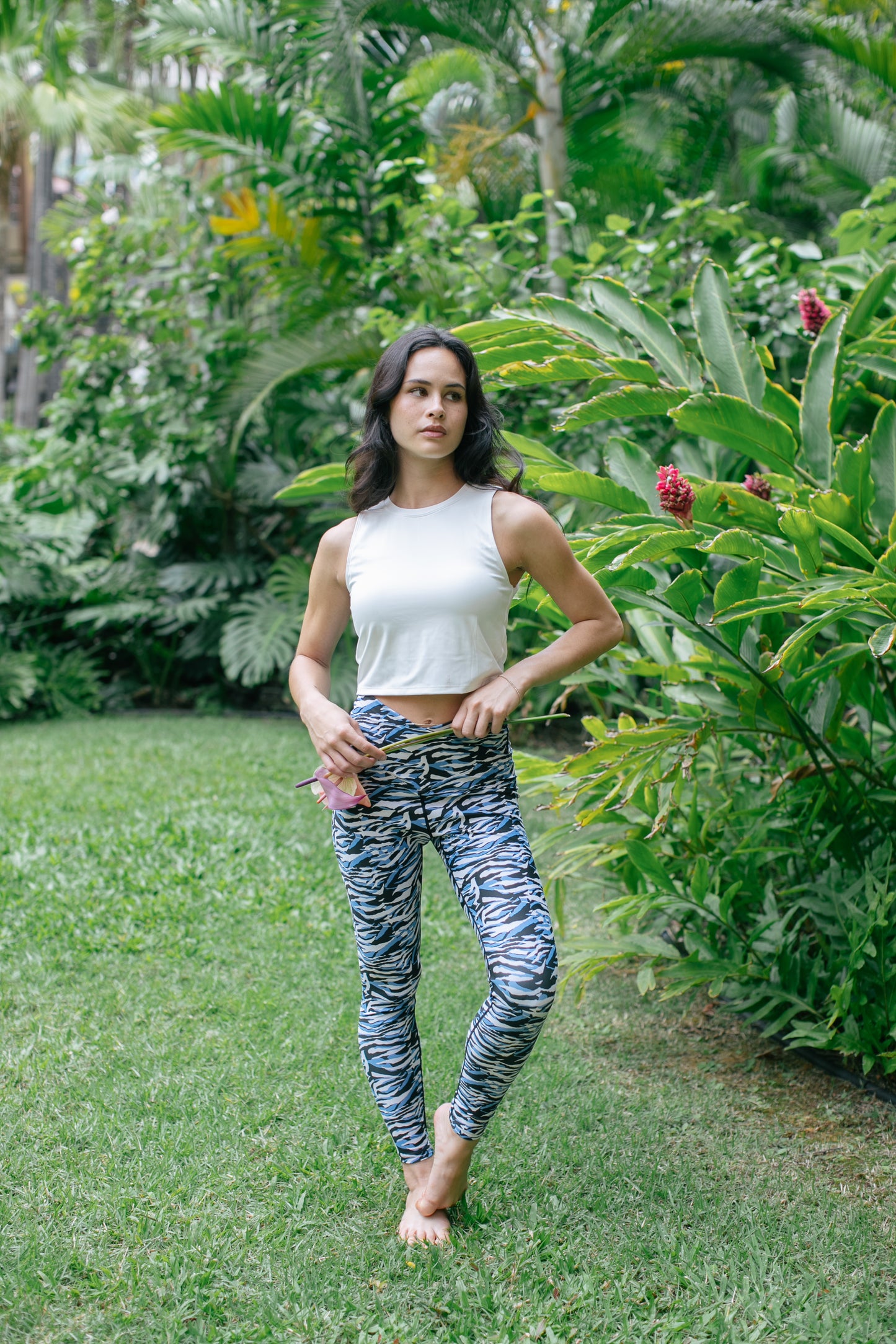New Zebra Leggings